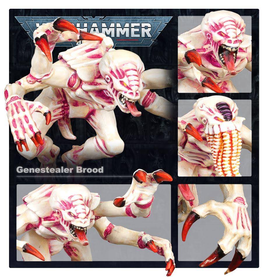 Warhammer 40K Tyranids Battleforce Brood Swarm