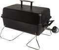 Portable Convective 1-Burner Stainless Steel Propane Gas Grill