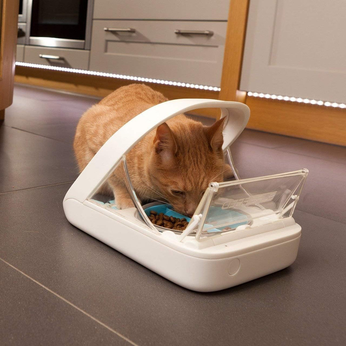 Automatic Pet Feeder -Microchip Pet Feeder – MPF001 – Suitable for Both Wet and Dry Food – Bonus eOutletDeals Pet Towel