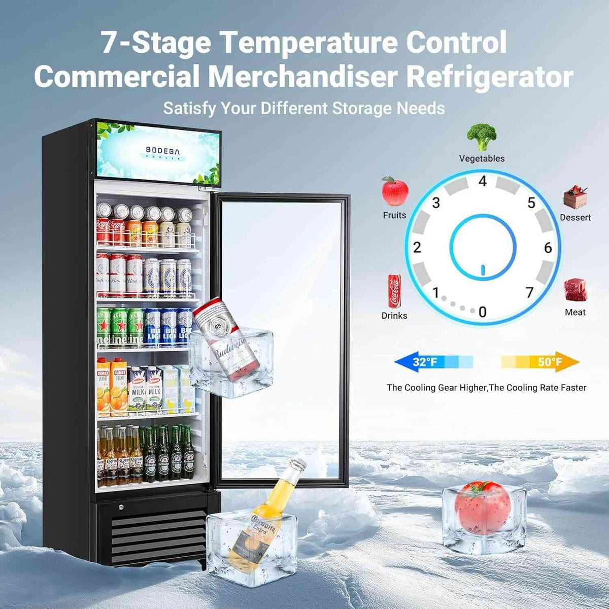 Commercial Glass Door Display Refrigerator Merchandiser 11.3 Cu. Ft