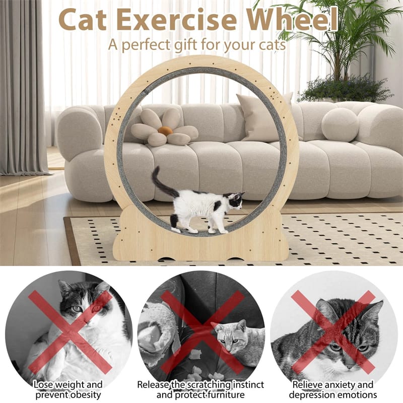 40" Large Cat Exercise Wheel for Indoor Cats, Low Noise Cat Treadmill with Lockable Mechanism, Carpeted Runway & Teasing Toy for Kitty Fitness