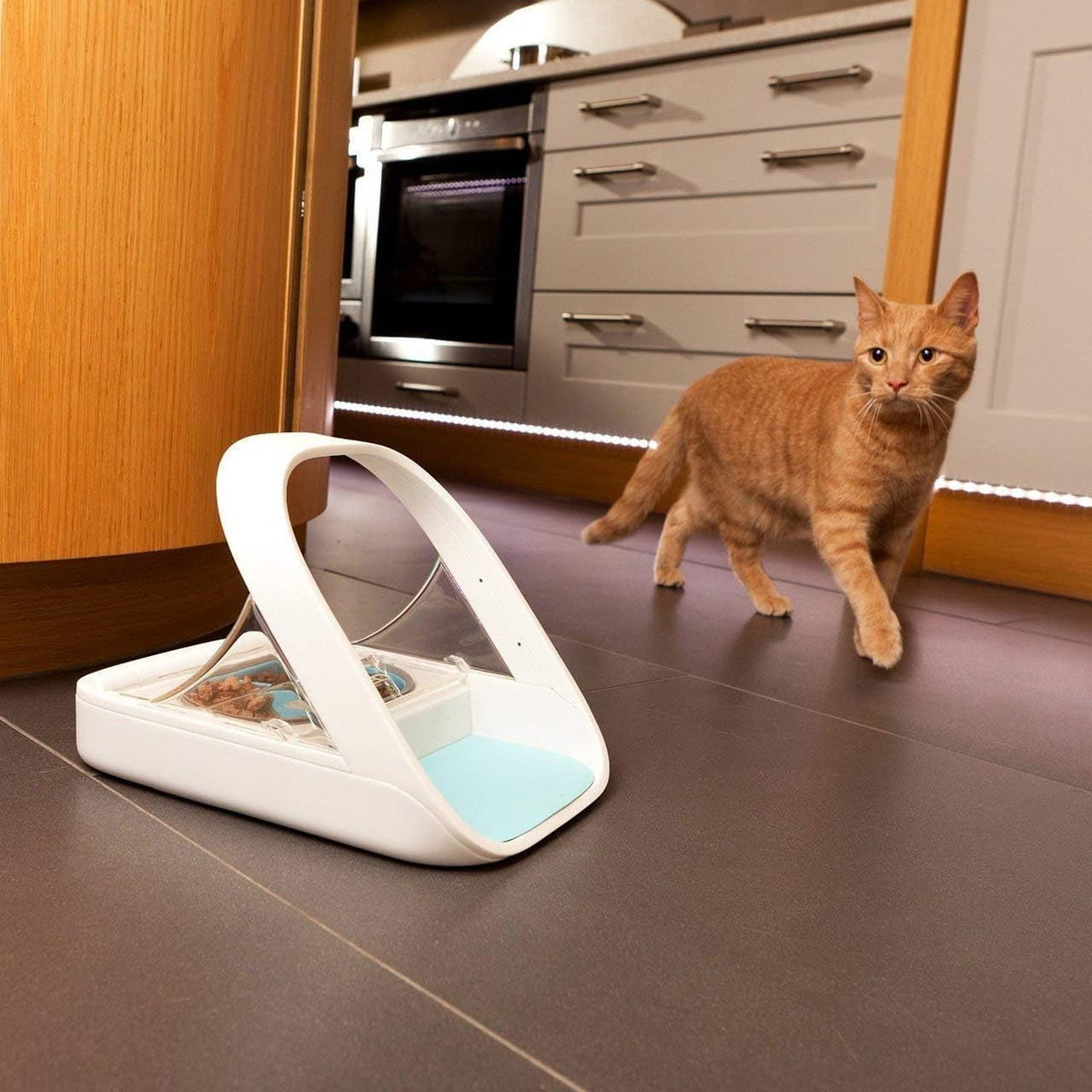 Automatic Pet Feeder -Microchip Pet Feeder – MPF001 – Suitable for Both Wet and Dry Food – Bonus eOutletDeals Pet Towel