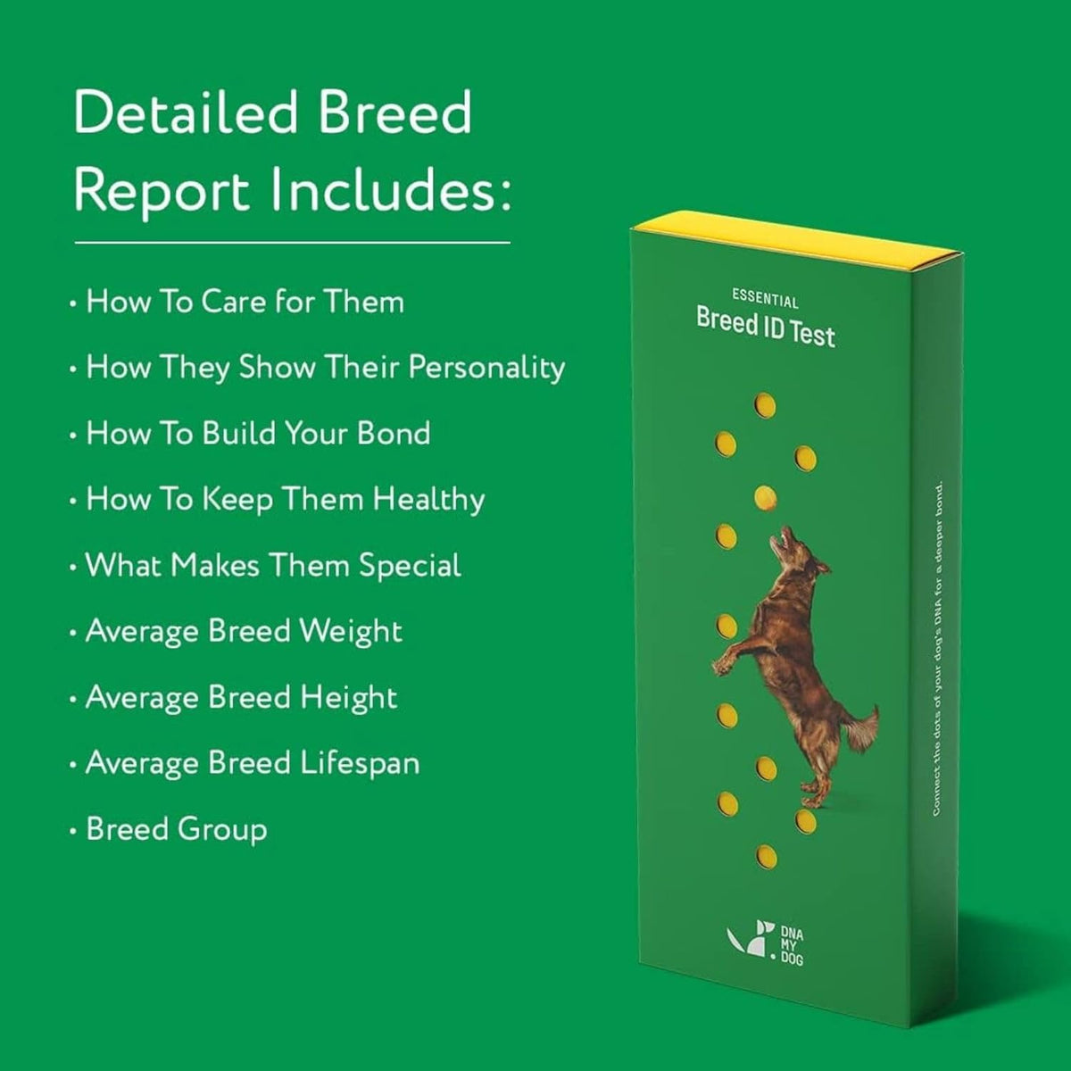 Dna My Dog Essential Breed ID Test �?Accurate Mixed Breed Identification & Personality Insights with Easy Cheek Swab