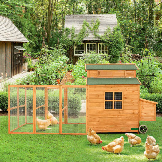 56�?Outdoor Weatherproof Wooden Chicken Coop, with nesting box, galvanized wire, asphalt roof and removable tray
