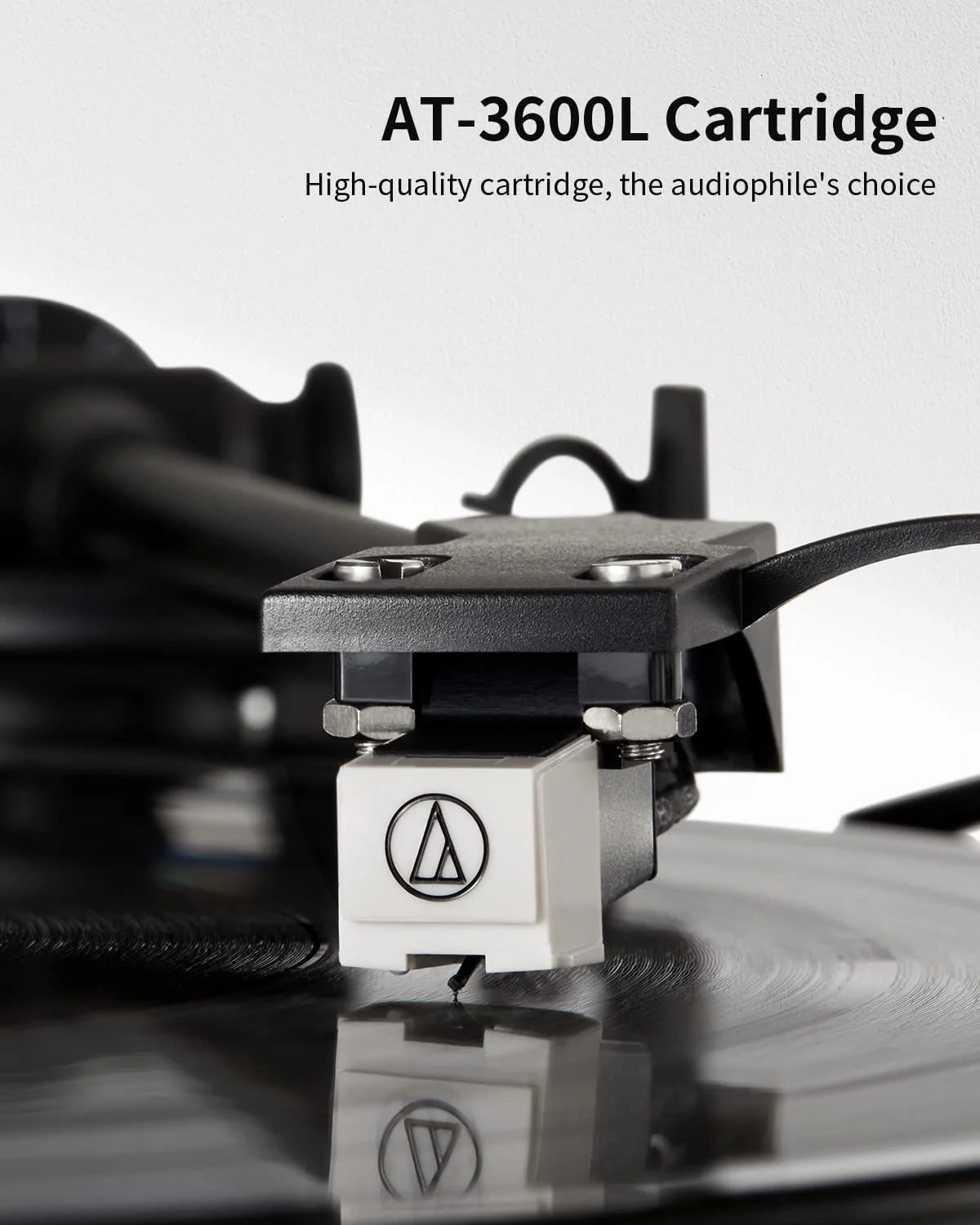 ANGELS HORN Vinyl Record Player Built in Speakers