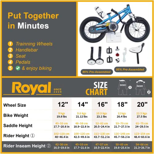 Royalbaby Kids Bike Boys Girls Freestyle BMX Bicycle